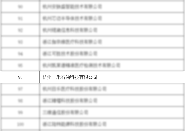 冰球突破mg丰禾公司荣获国家级专精特新“小巨人”企业(图2)